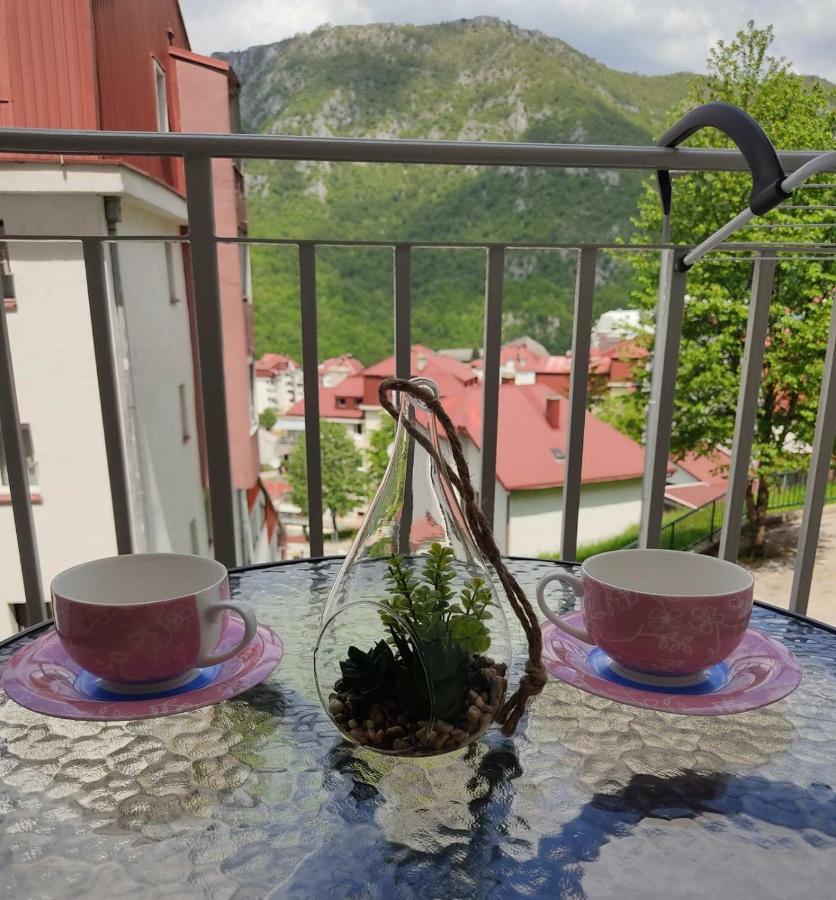 Apartman Andjela Plužine Exteriér fotografie