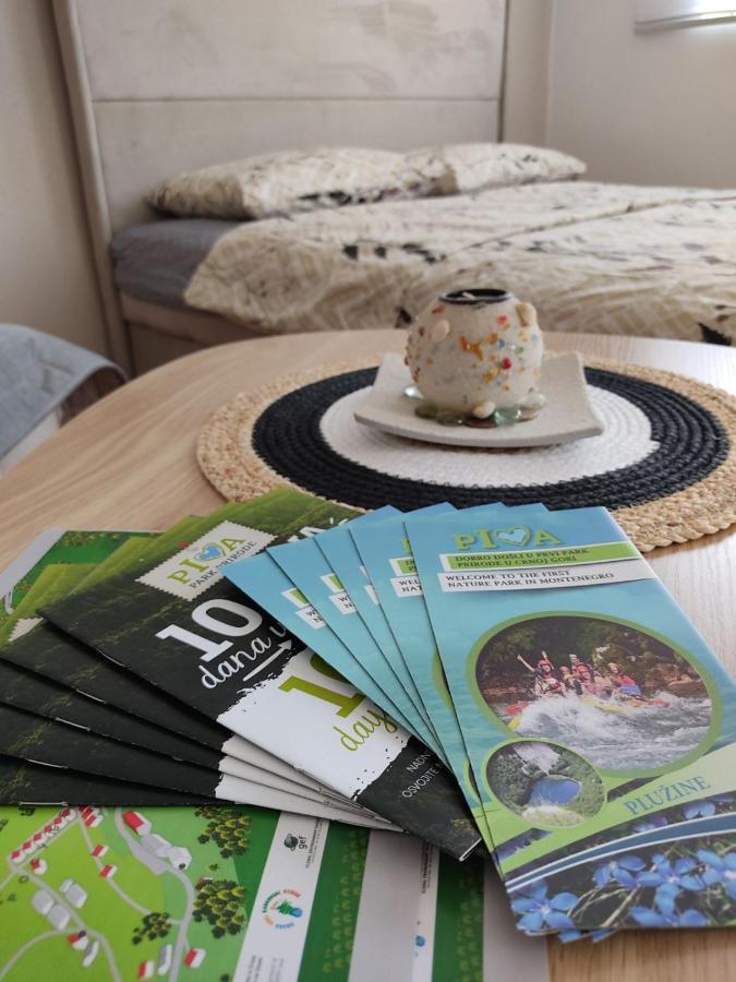 Apartman Andjela Plužine Exteriér fotografie