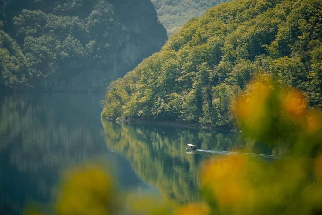 Apartman Andjela Plužine Exteriér fotografie